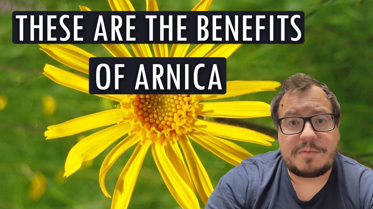 These are the medicinal properties and health benefits of arnica!😉 - hillvitalusa.com
