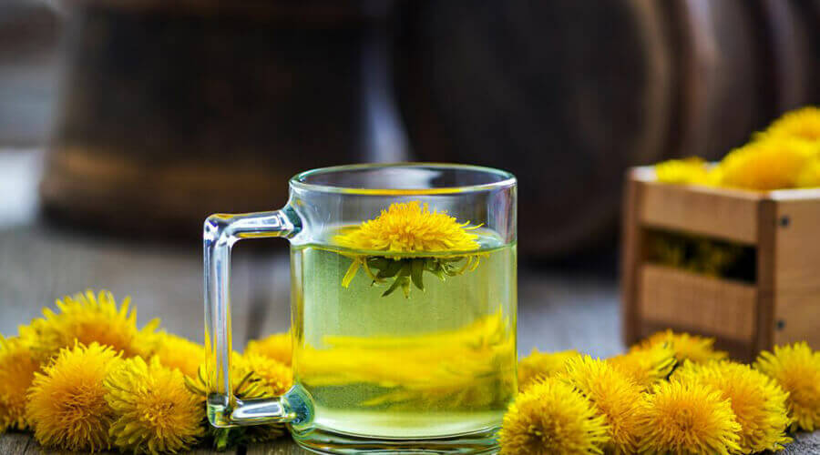 Dandelion tea and its health benefits