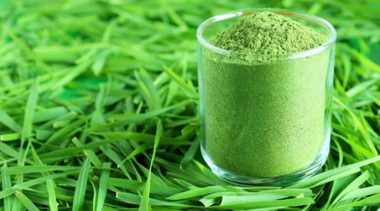 Discover the amazing benefits of wheatgrass powder!