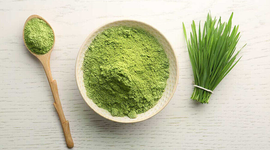 The correct dosage of wheatgrass powder: Tips for maximum effect