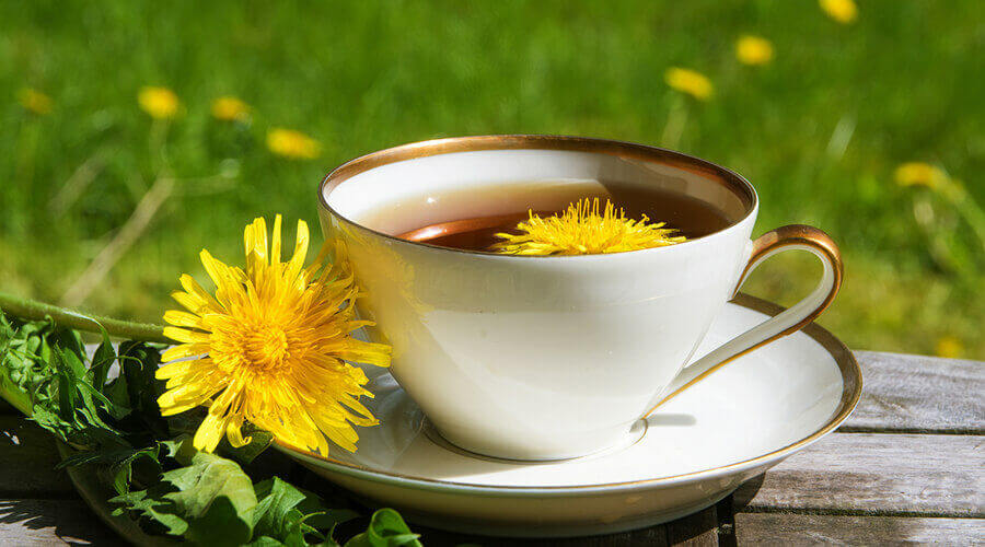 Dandelion tea