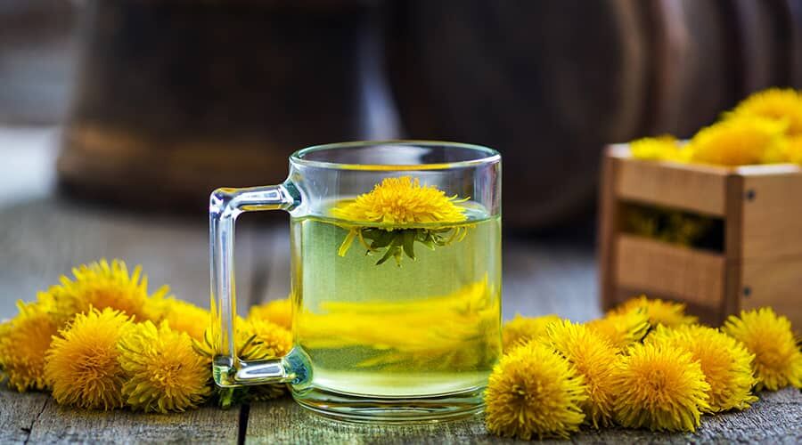 Dandelion tea is easy to make yourself!