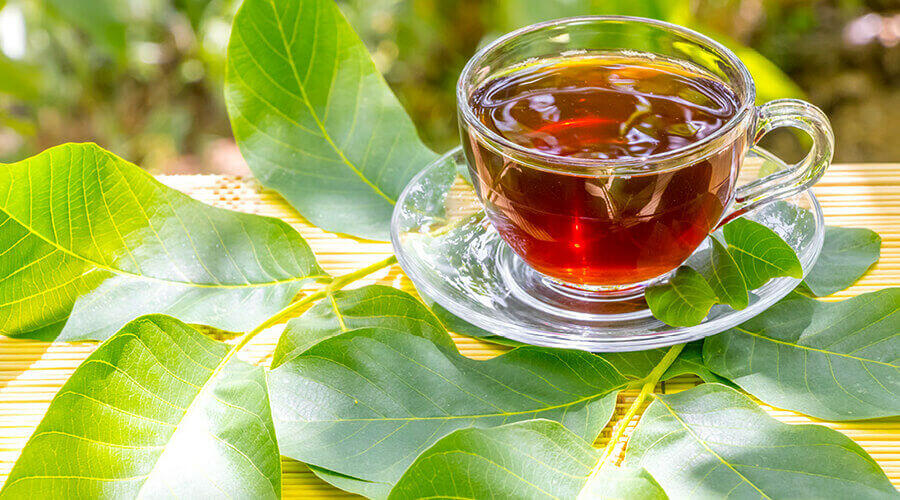 Discover the health benefits of walnut leaf tea