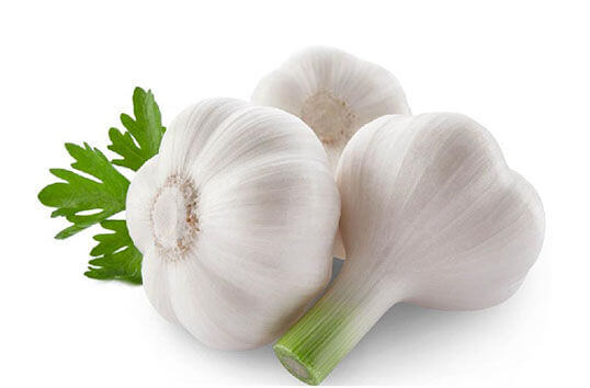 Garlic