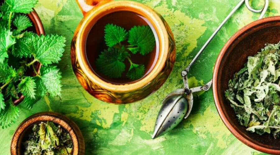 How to make nettle tea to get the best results!