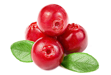 Peat cranberry