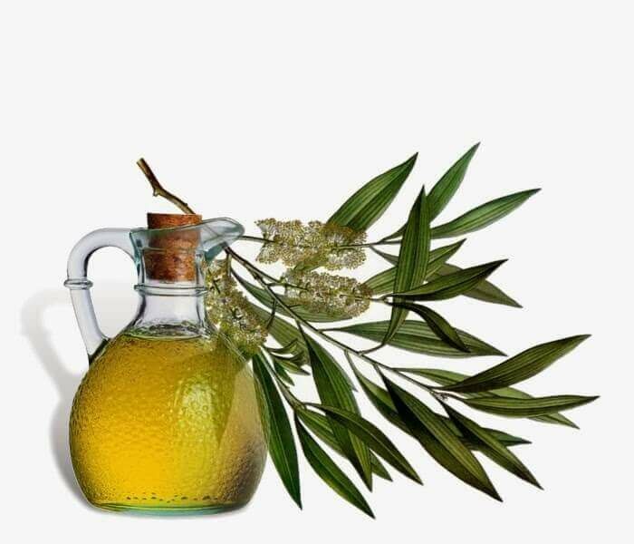 Tea tree oil!