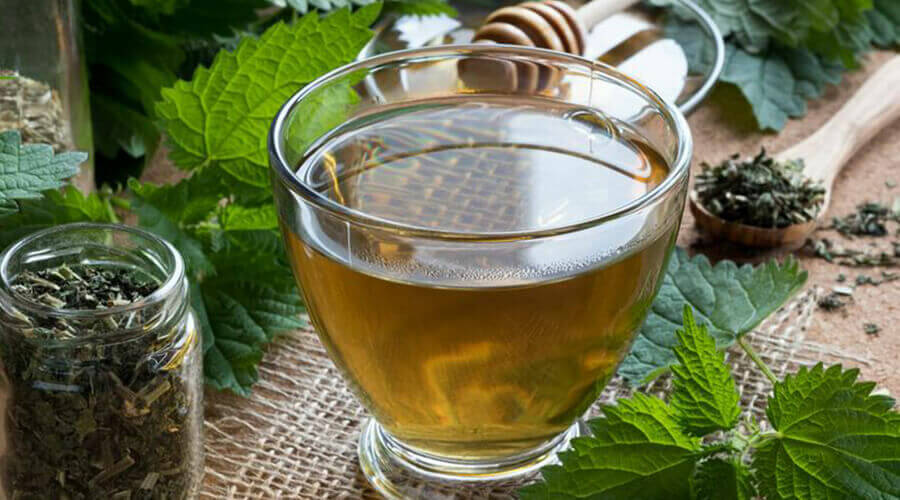 The amazing physiological effects of nettle tea