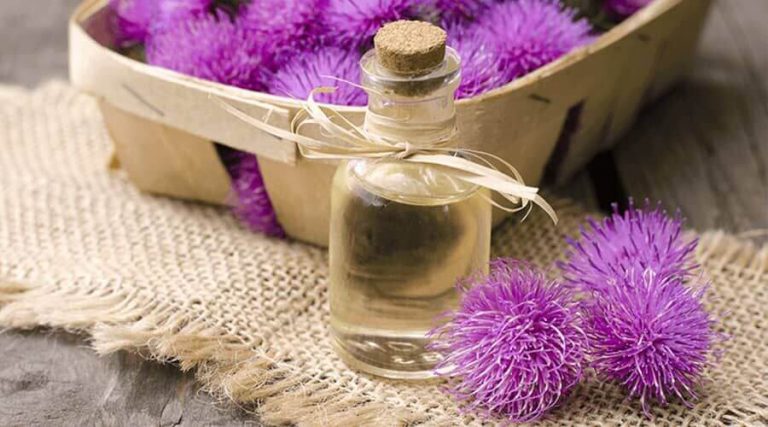 the milk thistle oil along with its flower were kept on a textured burlap