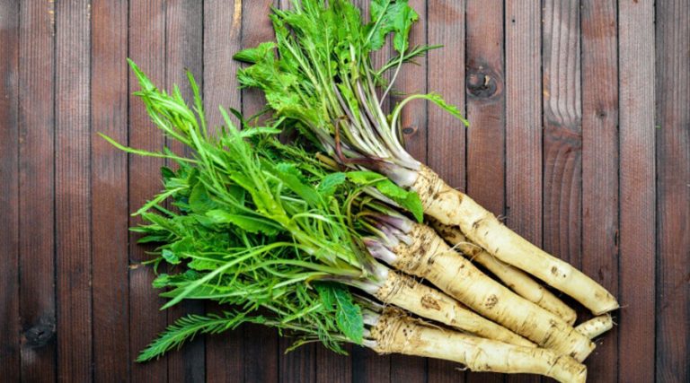 A portrait of horseradish in a wooden background