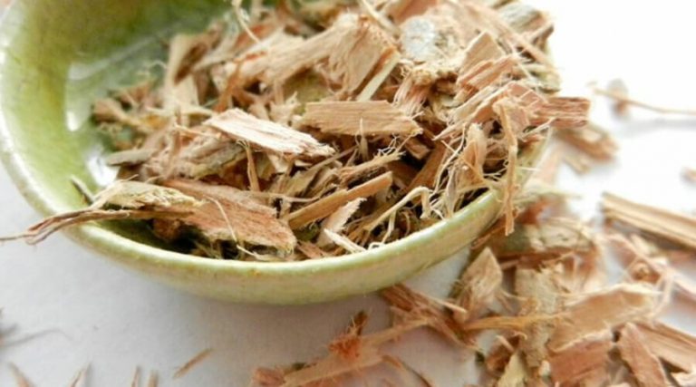 A bowl of Willow bark were kept in a green bowl