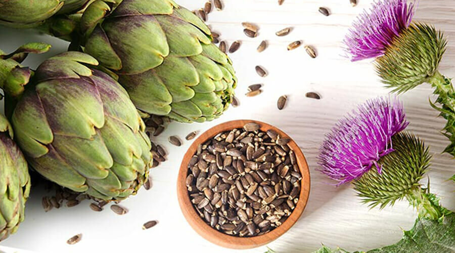 The best plants for liver protection