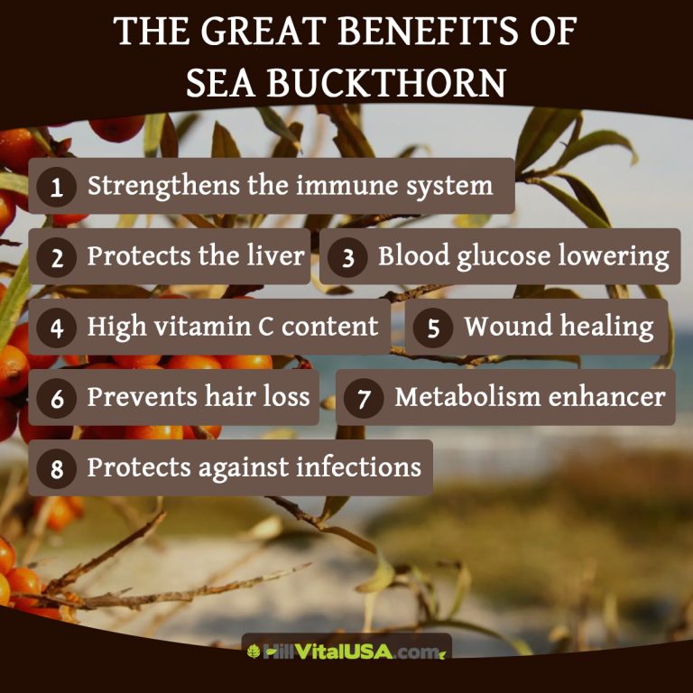 A detailed infographic highlighting the benefit of sea buckthorn