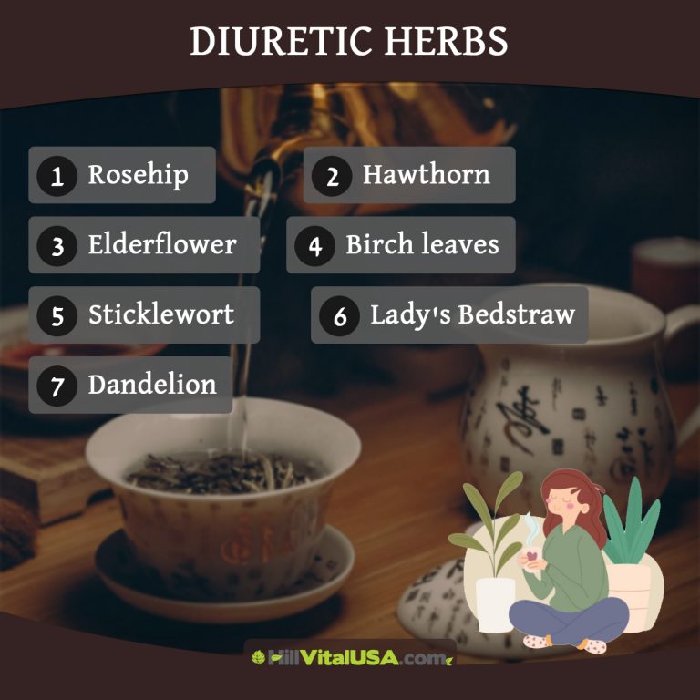 A detailed infographic highlighting the benefit of diuretic herbs