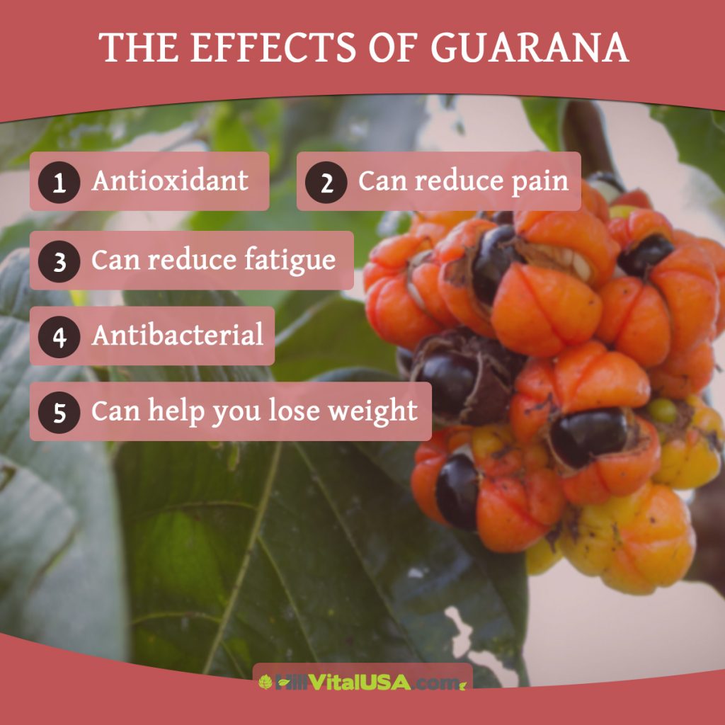 The effects of guarana