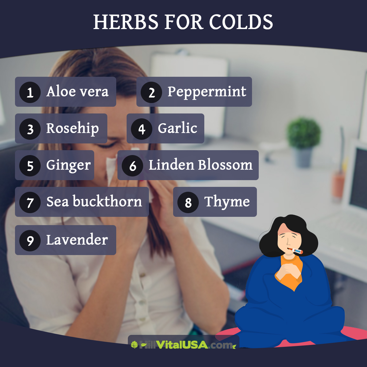 Herbs for colds