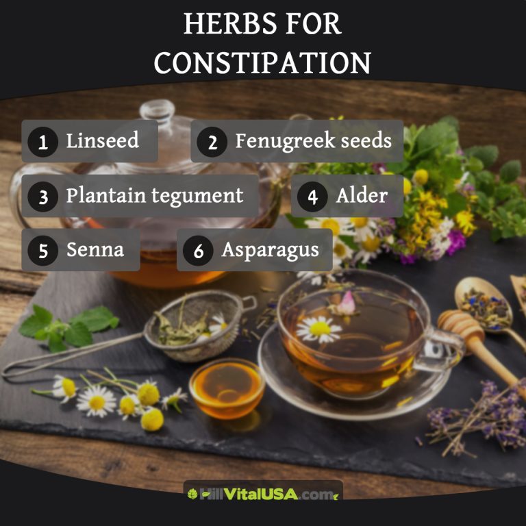 A detailed infographic highlighting the Herbs for constipation