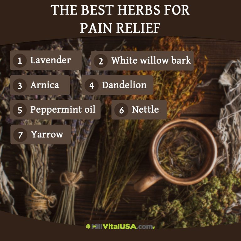 A detailed infographic highlighting the Herbs for pain relief