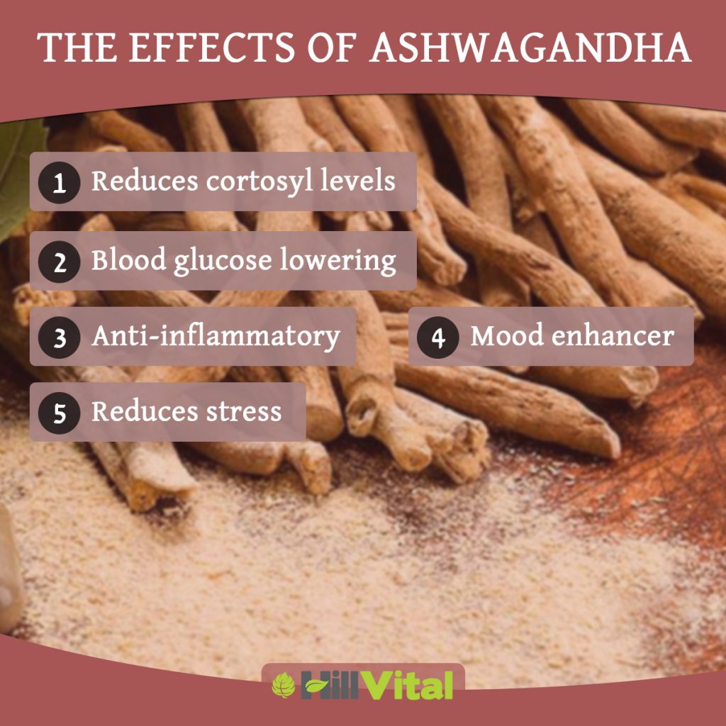 The effects of ashwagandha