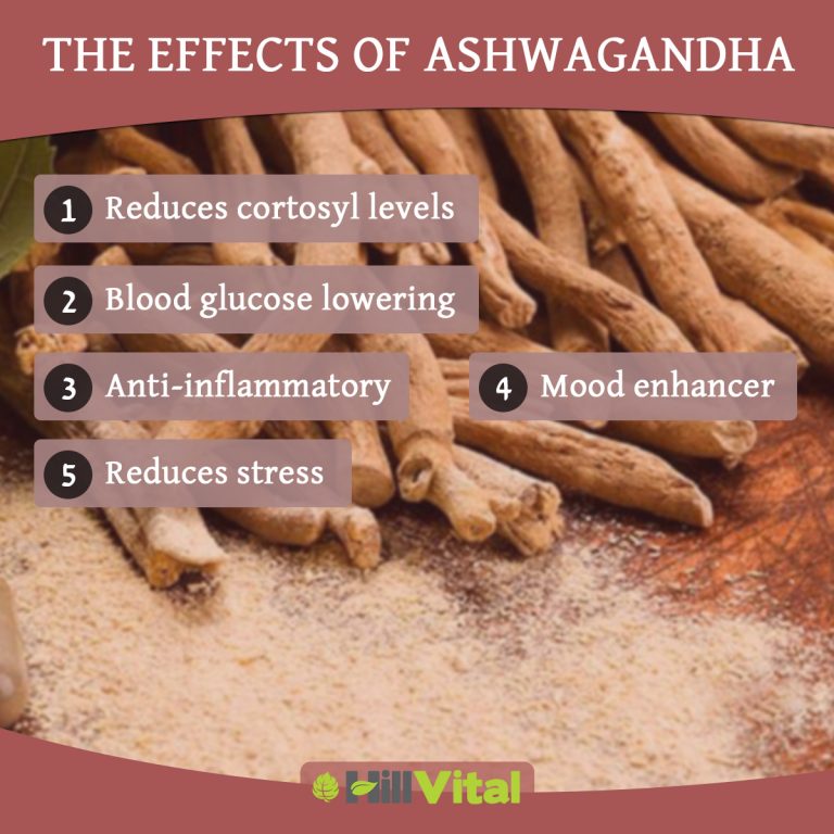 A detailed infographic highlighting The effects of ashwagandha
