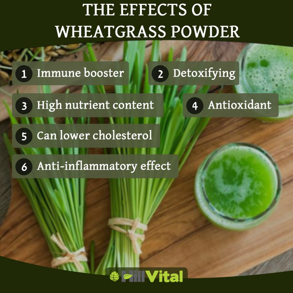 The effects of wheatgrass powder