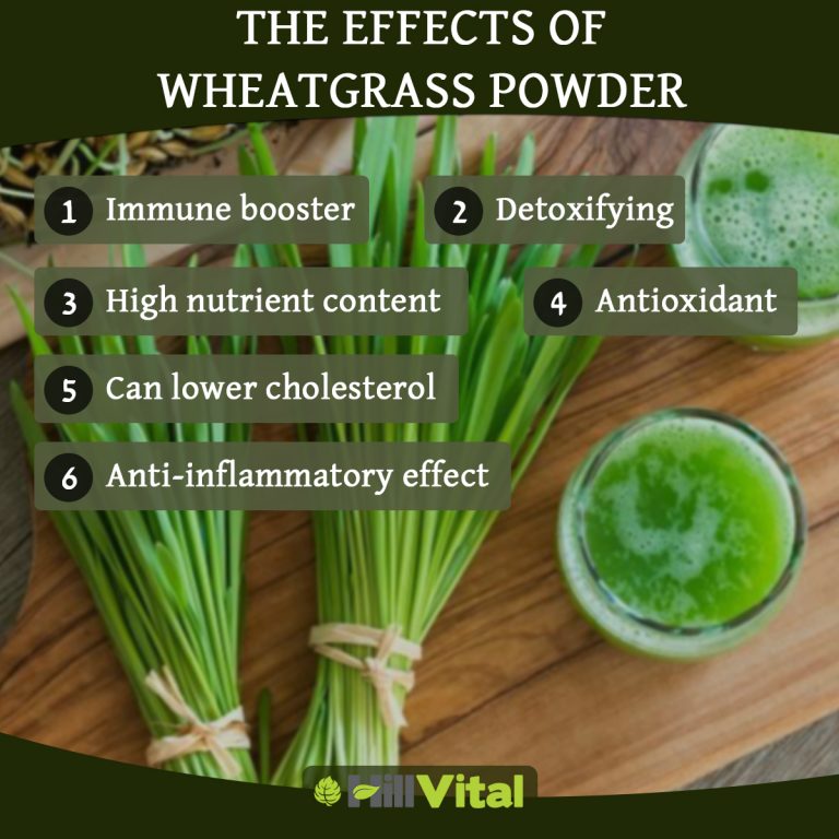 A detailed infographic highlighting The effects of wheatgrass powder