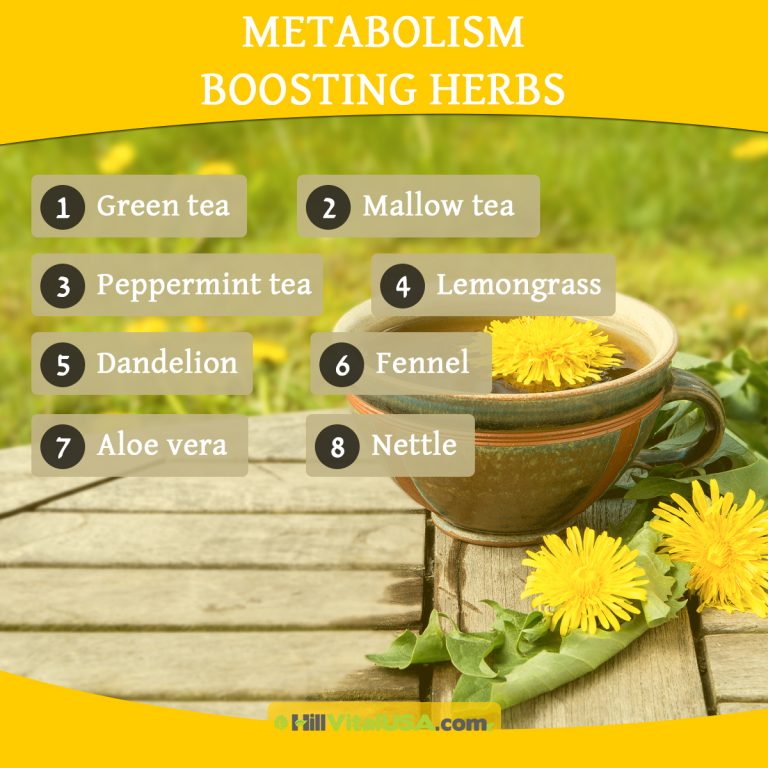 A detailed infographic highlighting the Metabolism boosting herbs
