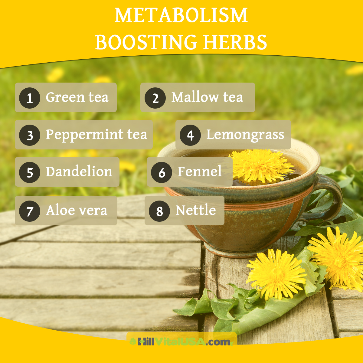 Metabolism boosting herbs