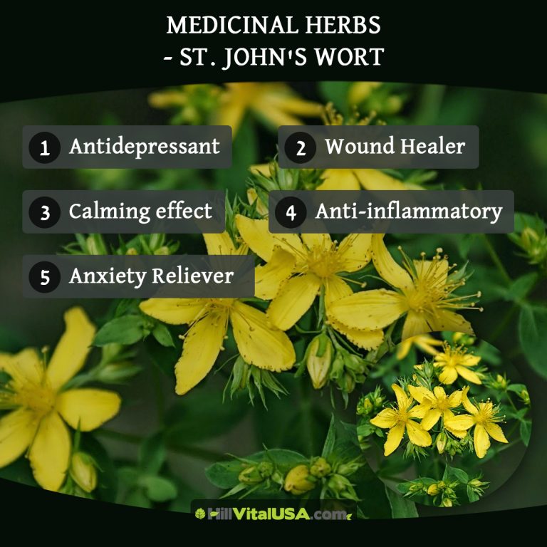 A detailed infographic highlighting the Medicinal herbs