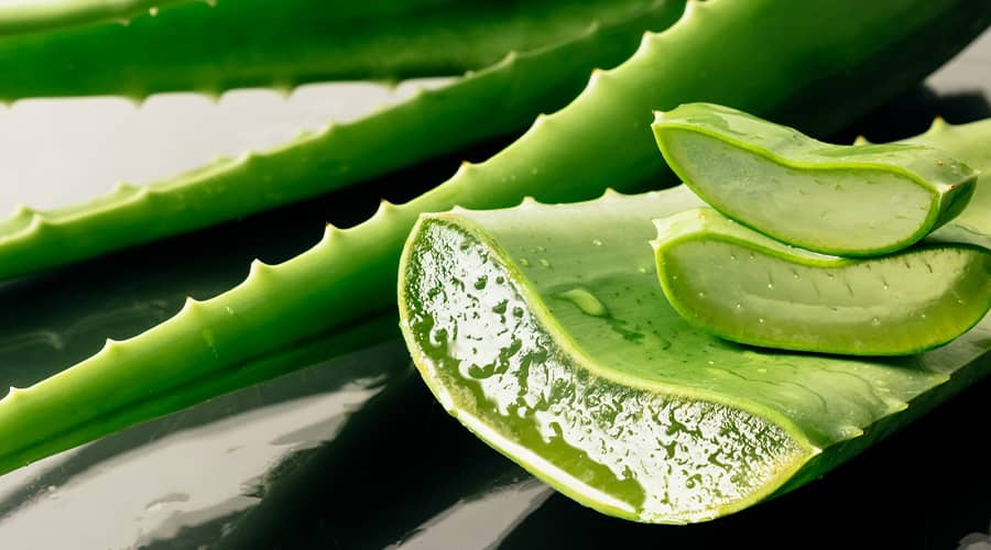 Home-made Aloe Vera Gel