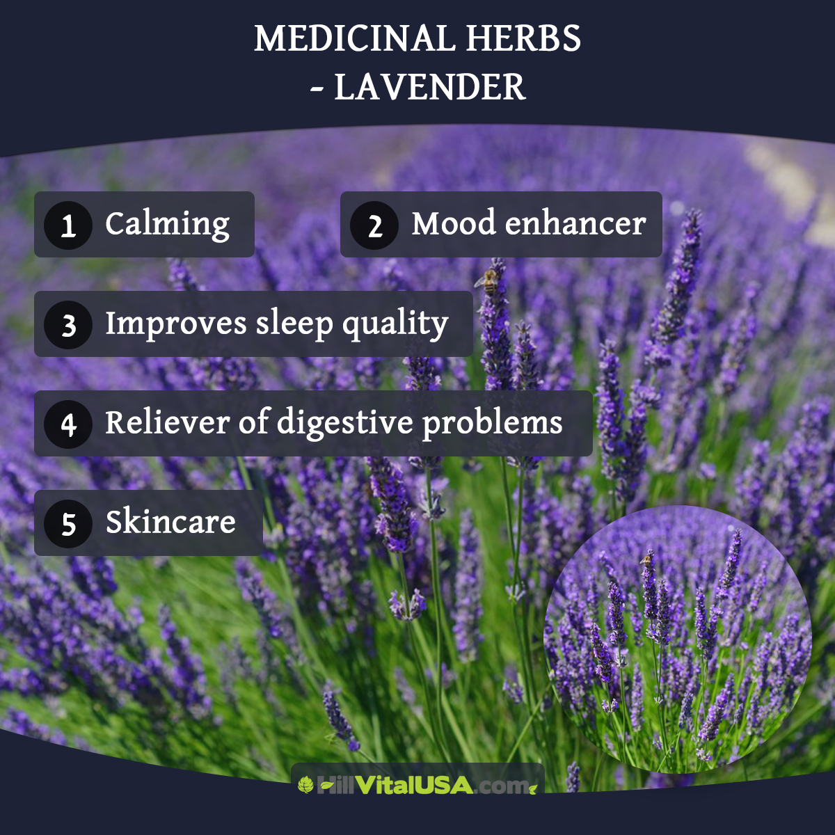 Medicinal herb: Lavender for relaxation and health benefits.