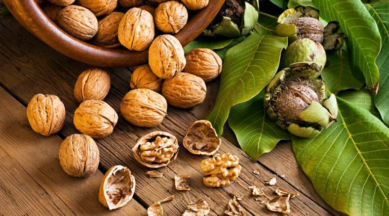many walnuts are placed on the table