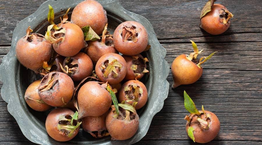 Effects and uses of medlar