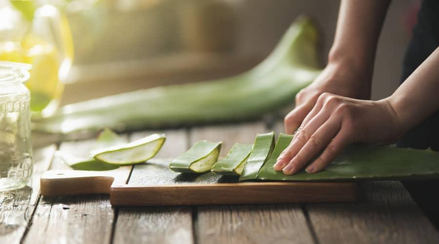 The medicinal properties of aloe vera