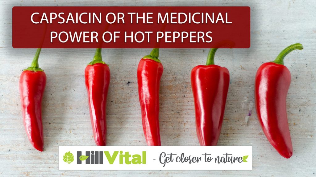 Capsaicin: the healing power of hot peppers. 2 thumbnail of showing capsaicin or the medicinal power of hot pepper