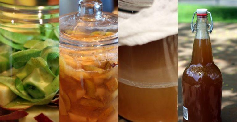 Making apple cider vinegar at home! Here are the steps!