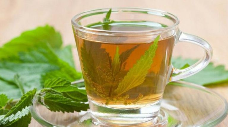 transparent cup of nettle tea surrounded by green leafs