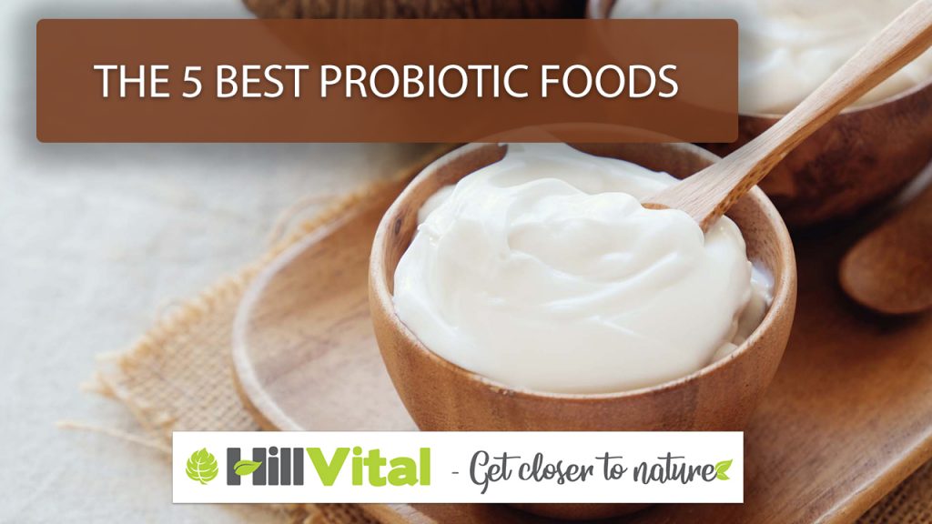 The top 5 probiotic-rich foods. 10 a wooden bowl and plate with curd with title 5 best probiotic foods