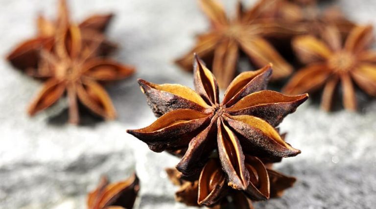 **Title:** Star Anise Spice Close-Up **Alternate Description:** A close-up photograph of star anise spice showcasing its distinctive star-shaped, dark brown pods with pointed segments. The textured surface of the spice and its rich, earthy color stand out against a blurred grey background, emphasizing the spice's intricate details. Multiple star anise pods are scattered around, creating a natural composition.