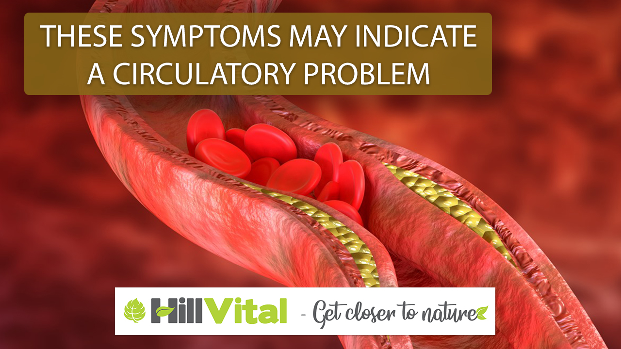 These symptoms may indicate a circulatory problem