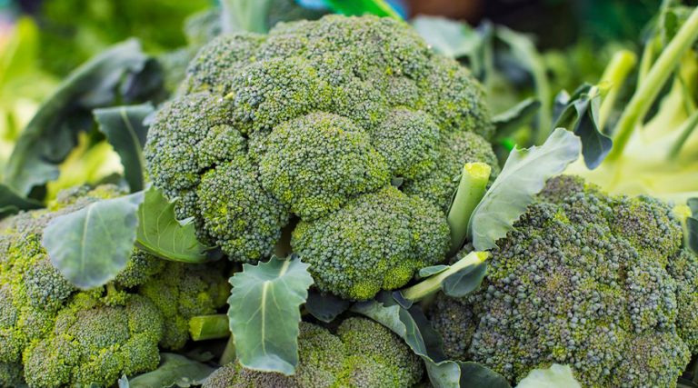 a picture of broccolis with blur background