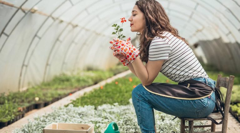 : A young woman wearing gardening gloves, a striped shirt, jeans, and an apron is sitting on a wooden chair inside a greenhouse, holding a small red flowering plant close to her face while smelling it.