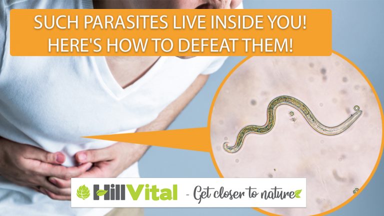 a microscopic view of parasites