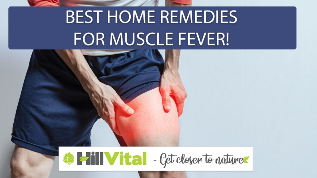 Top home remedies for muscle fever. 7 a person with muscle fever touching his thighs