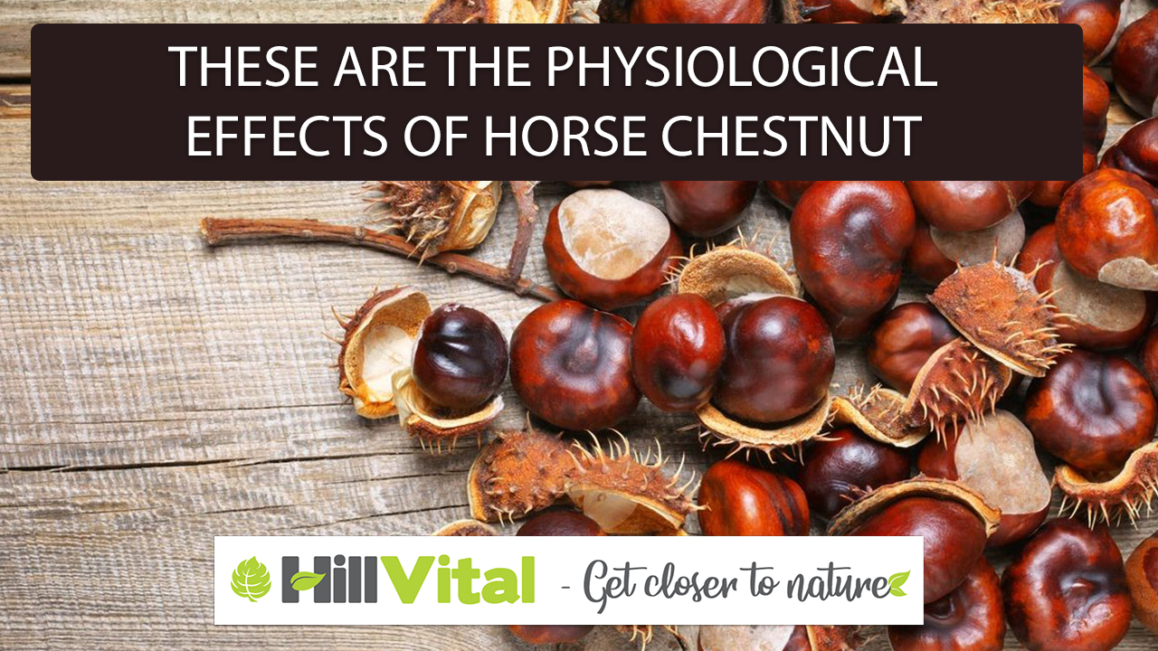 These are the physiological effects of horse chestnut