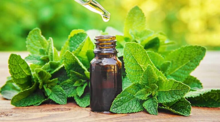 Benefits of peppermint