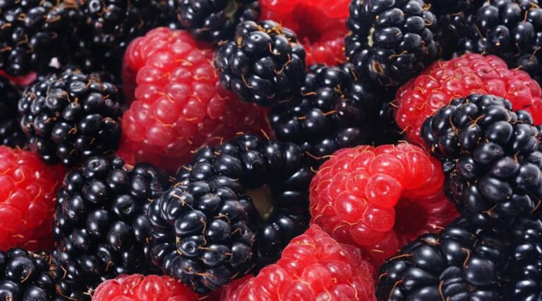 The benefits of raspberries and blackberries