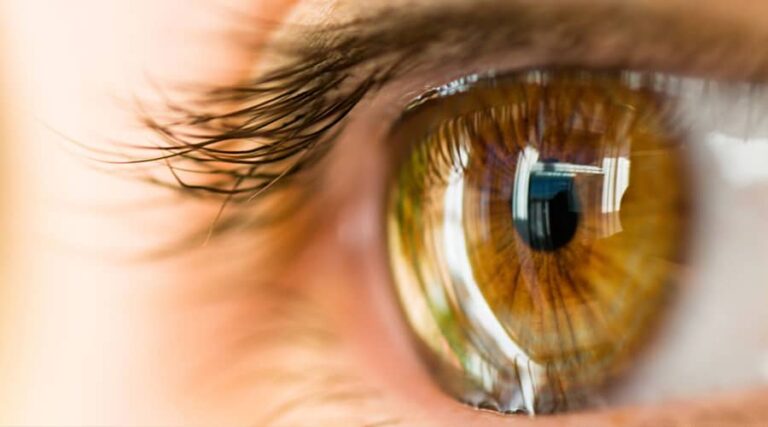 risk factors of macular degeneration