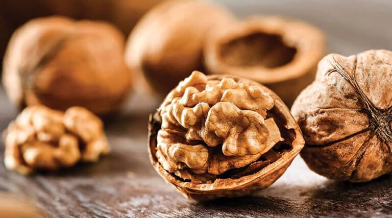 Benefits of walnut